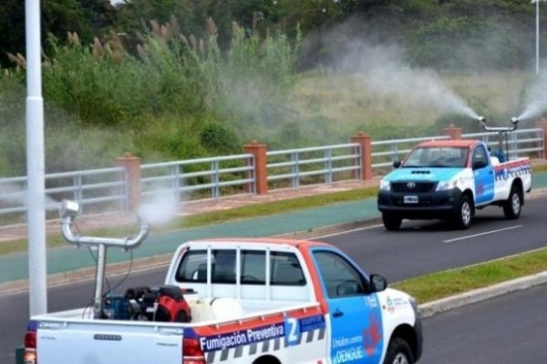 Confirmaron 74 casos de dengue en Formosa