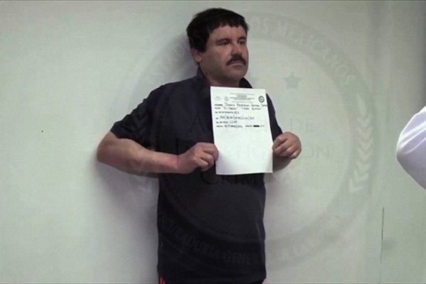 El Chapo Guzmán negociará declararse culpable si es extraditado a EE.UU.