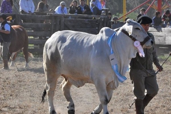 Dio inicio la 108° Exposición Rural de Mercedes