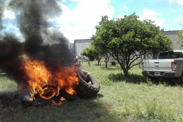 Decomisan unos 730 kilos de carne en dos localidades correntinas