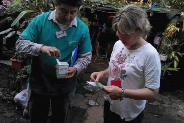 Colocan ovitrampas en escuelas y barrios para control de dengue