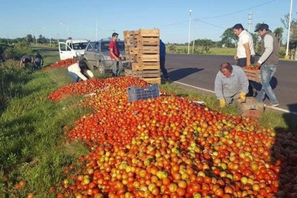 Santa Lucía: Productores regalan tomates en reclamo del precio