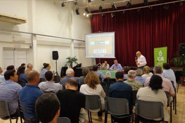 Presentaron detalles de Central Térmica con biomasa forestal