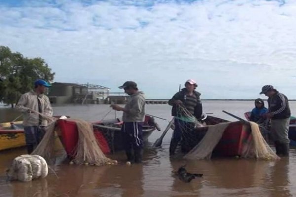 Destacan el incremento poblacional de peces en el Paraná