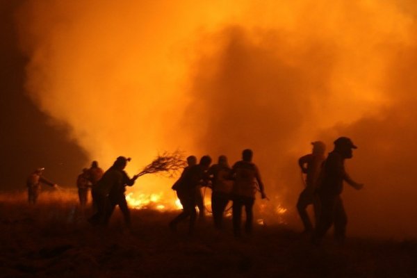 Chile afronta el mayor incendio forestal de su historia