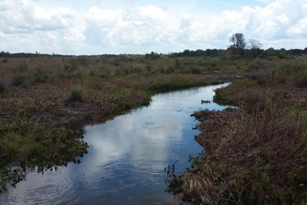 Avanza la obra de limpieza del arroyo San Juan