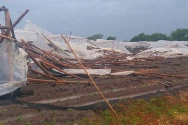 Lavalle: El fuerte temporal afectó seriamente a la zona rural