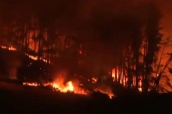 Arde Nueva Zelanda: Incendio dejó mil evacuados y un muerto