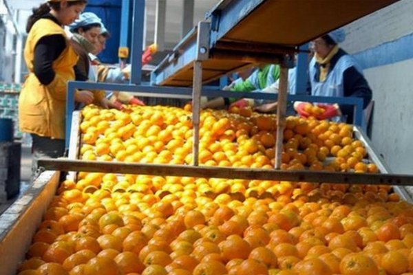 Mocoretá: Gestionan créditos para finalizar la fábrica de jugos