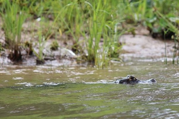 Comienza la primera Travesía Náutica Reserva del Isoró