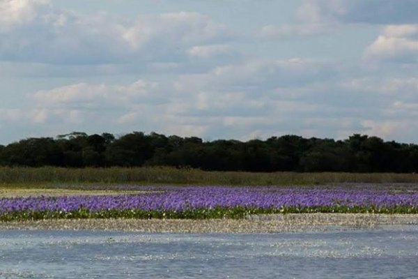 Realizarán un taller de diálogo para el fortalecimiento del ecoturismo en el parque Iberá