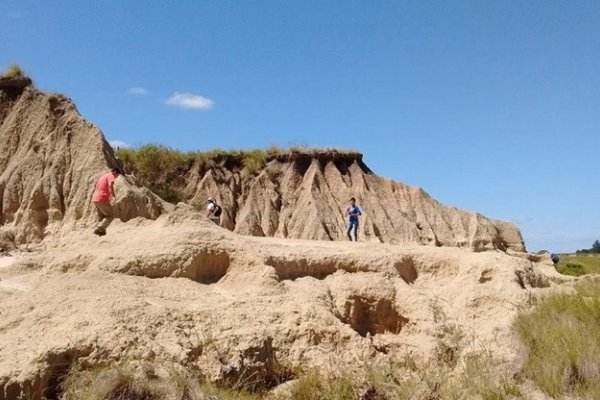 Bella Vista: Avances en el proyecto paleontológico Toropí