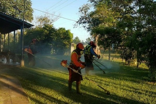 Virasoro: Personal de Bromatología realizó arduo trabajo en los barrios