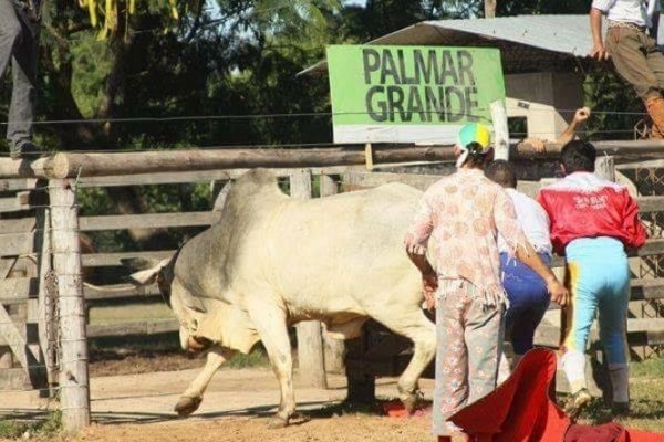 Se aproxima  la 7ma fiesta provincial del Mencho correntino