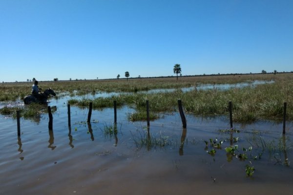 Inundación en San Luis del Palmar: pequeños productores advierten que lo peor todavía no llegó