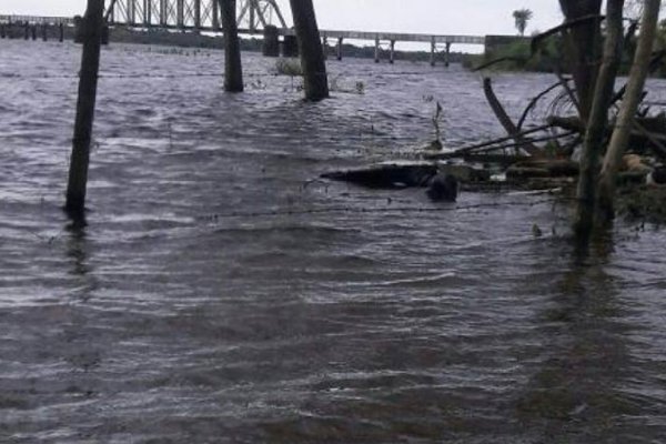 La crecida del río Santa Lucia llevó a evacuar a 45 familias en San Roque