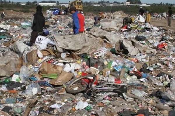 Revolviendo la basura