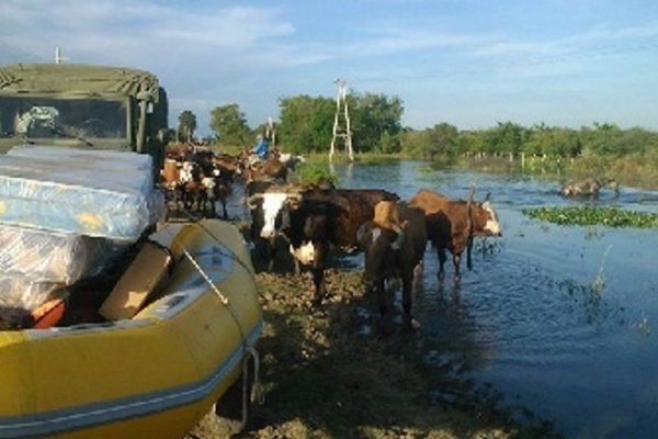 Inundación en Corrientes: Evacuaron a toda la población e intentan salvar el ganado en Paso Tala