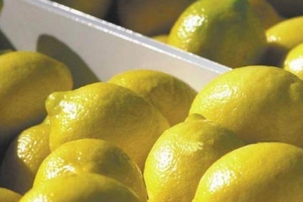 Se agrava la escasez de limones en Corrientes