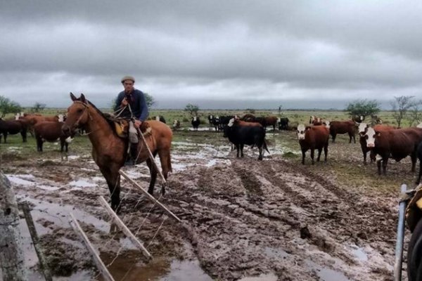 Corrientes: Continúan los remates de emergencia por las inundaciones