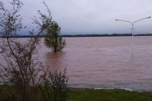 Localidades correntinas en alerta: Llueve en el sur de Brasil y una represa sigue liberando agua
