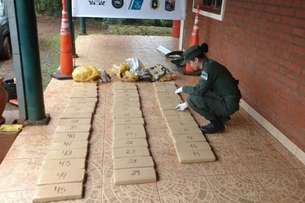 Incautan marihuana en Misiones