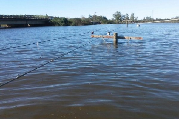 Corrientes: Por el avance del agua, DPEC elevó la altura de la línea entre La Cruz y Alvear
