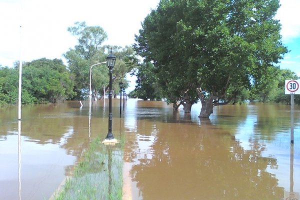 El río Uruguay dio un leve respiro a las familias libreñas