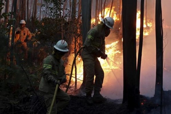Alrededor de dos mil bomberos combaten el incendio en Portugal
