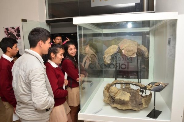 Bella Vista: El Paleomuseo Toropí cumplió dos años