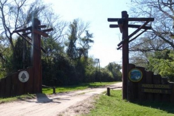 El Parque Nacional Mburucuyá actualiza su plan de acción