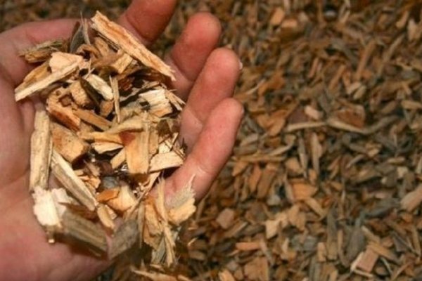 Estudian la instalación de planta de biomasa de 15 MVA en Santo Tomé