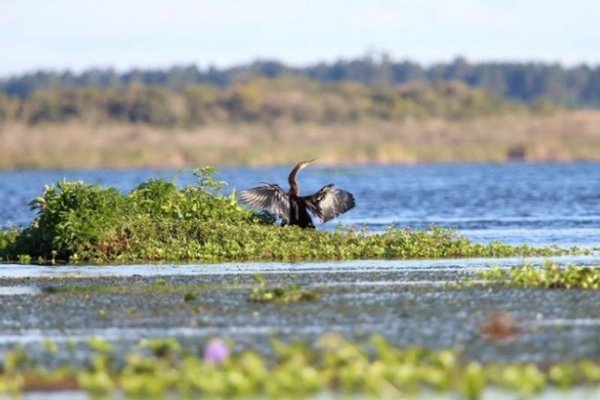 Cambyretá reabre parcialmente al público
