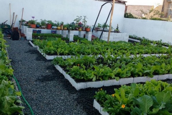 Miércoles 23, Jornada de Promoción de Huerta Orgánica y Técnicas de Agricultura Urbana
