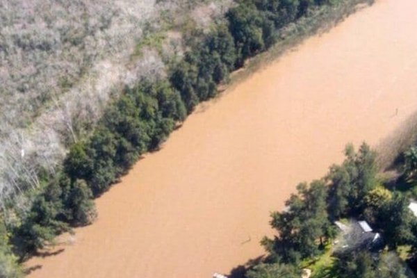 Hallaron restos humanos en el avión que cayó en el Delta