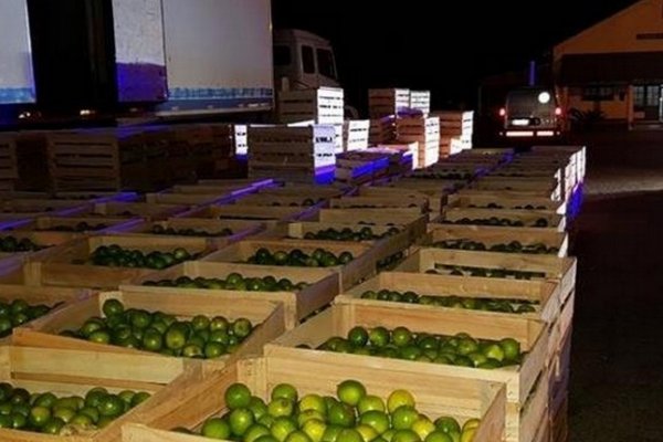Tapebicuá: Decomisaron frutas y verduras por la suma de dos millones de pesos