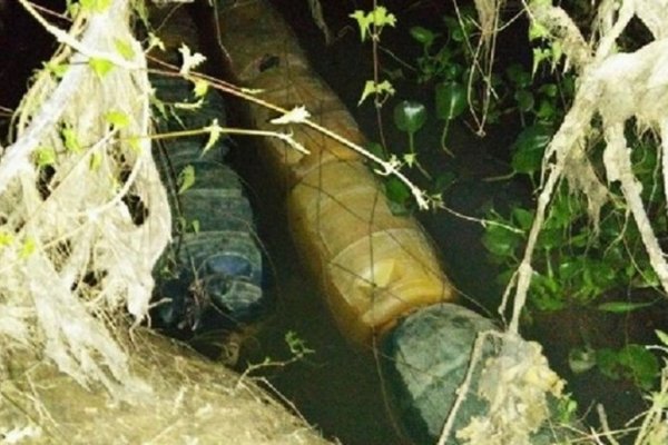 Bella Vista: Prefectura secuestró 20.000 pesos de combustible