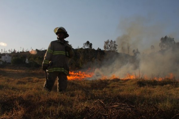 Ruta 12: Voraz incendio de pastizales alcanzó dos galpones con maderas en la zona de El Sombrero