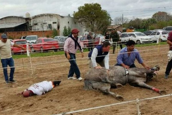 Indignación en las redes sociales por la muerte de una yegua durante una carrera en Goya