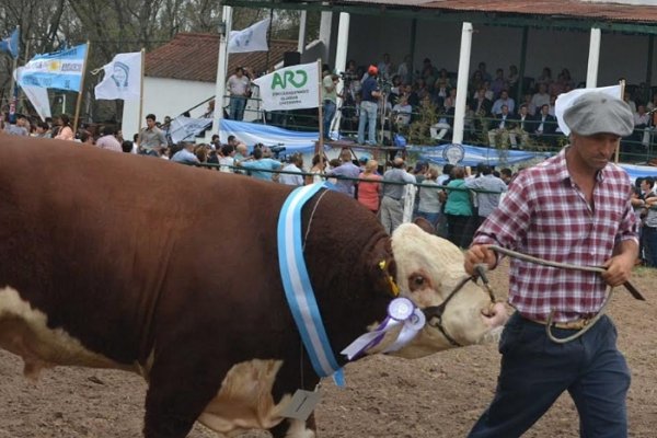 Quedó inaugurado la muestra rural de Mercedes