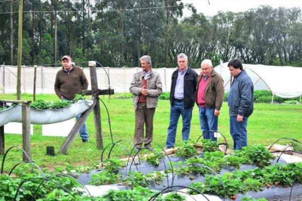 El INTA Bella Vista inauguró la Expohortícola 2017