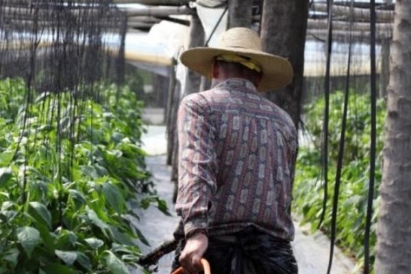 Productores locales recibirán una ayuda económica por la emergencia