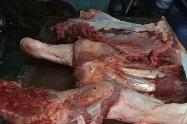 Secuestraron carne no apta para el consumo