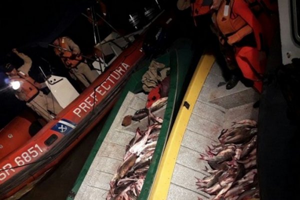 Pesca ilegal en Corrientes: Incautan 320 kilos de pescados