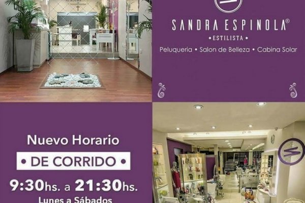 Componentes y propiedades Premium en el Salón & Spa de Sandra Espínola