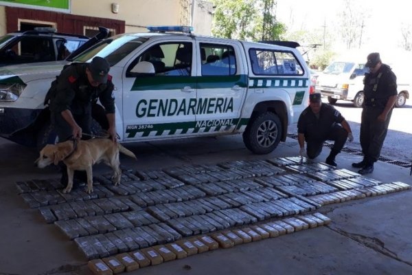 Formosa: Secuestraron 235 kilos de marihuana en una camioneta