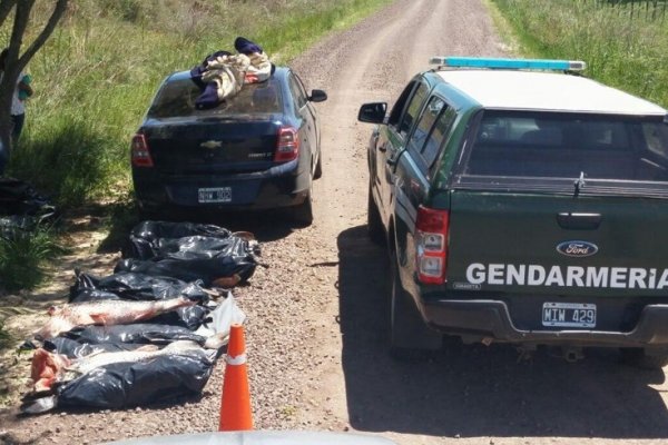 Riachuelo: Gendarmería secuestró pescados transportados en un auto