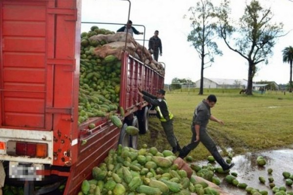 Condenan a camionero por llevar droga entre mamones