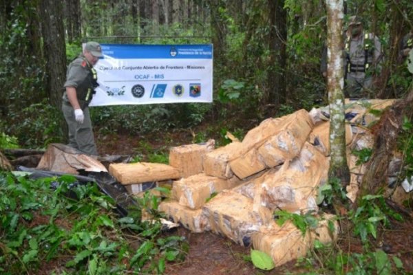 Gendarmería decomisó en Misiones 803 kilos de marihuana
