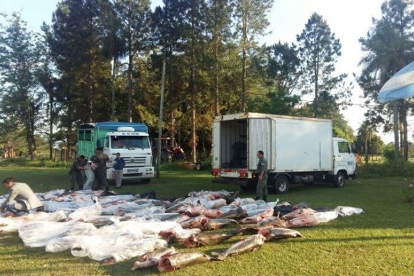 Secuestraron más de 7 toneladas de surubí y patí en Corrientes